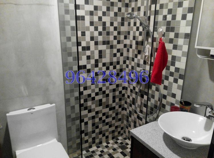 The Sunny Spring (D14), Apartment #80437182